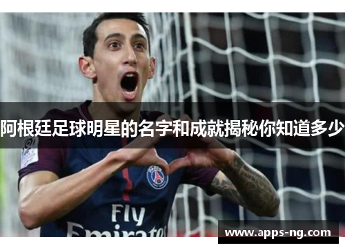 阿根廷足球明星的名字和成就揭秘你知道多少